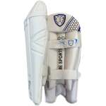 Swift Strike Wicket Keeping Pads