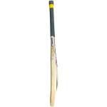 English Willow Bat - ThunderX