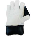 Swift Strike Wicket Keeping Gloves