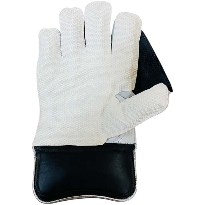 Swift Strike Wicket Keeping Gloves