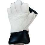 Swift Strike Wicket Keeping Gloves