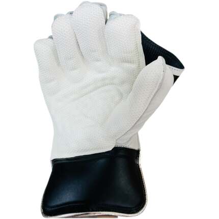 Swift Strike Wicket Keeping Gloves