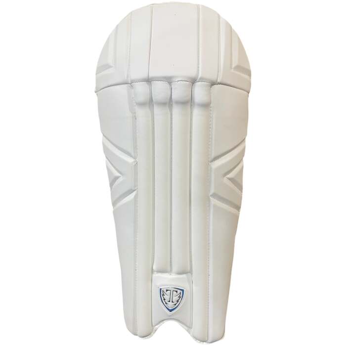 Swift Strike Wicket Keeping Pads